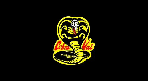 Resumen de la Serie Cobra Kai